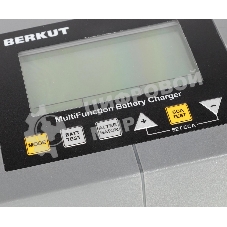 Зарядное устройство Berkut BCA-10