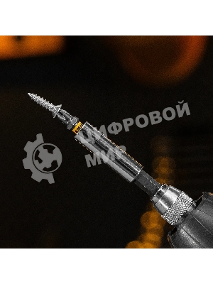 Набор бит Denzel PH2х25, сталь S2, шестигранный профиль, 10 шт.