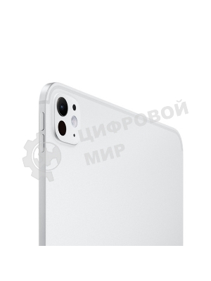 Планшет Apple iPad Pro 13 13