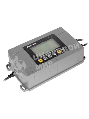 Зарядное устройство Berkut BCA-10