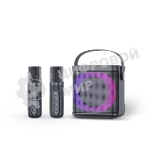 Переносная караоке система TRS2406 iconBIT K702B Колонка 10Вт, 2 микрофона Bluetooth, подсвктка, с аккумулятор в колонке 1500mAh и микрофонах, 16*12*16.7 CM, черный
