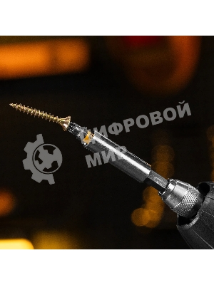 Набор бит Denzel PZ1х25, сталь S2, шестигранный профиль, 10 шт.