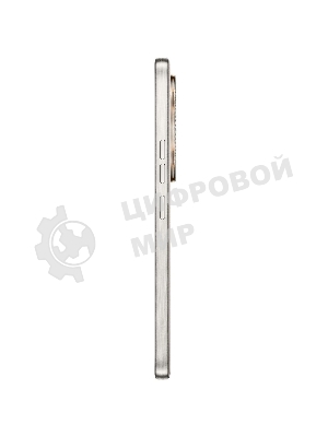 Смартфон Tecno Camon 40 Premier 5G 12/256Gb, черный