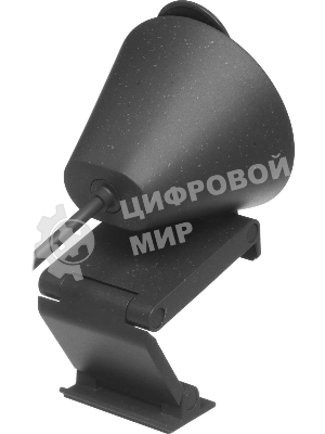 Веб-камера Logitech Brio 300 1920x1080, 30 кадр/с, USB Type-C, микрофон (шумоподавление), автоматическая фокусировка, автоосвещение, универсальное крепление
