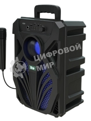 Портативная колонка MORE CHOICE ВК13 Black