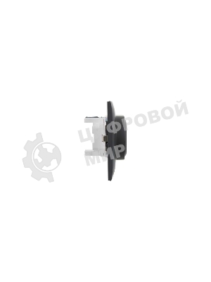 Розетка 2-местная IEK SKANDY SK-R08G (SK-R21-16-K53-F) с заземлением, без защитных шторок 16А в сборе, графит
