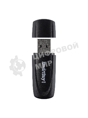 Флешка USB Smartbuy Scout Black (SB004Gb2SCK), 4Gb, USB 2.0, R/W 10/7, черный