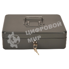 Ящик для денег Cactus CS-CB-004GY 90x300x240 серый