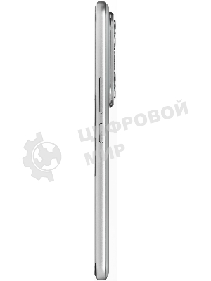 Смартфон HONOR 400 PRO 5109BUTA 12/256Gb, серый