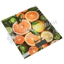 Весы кухонные электронные ВАСИЛИСА ВА-020 