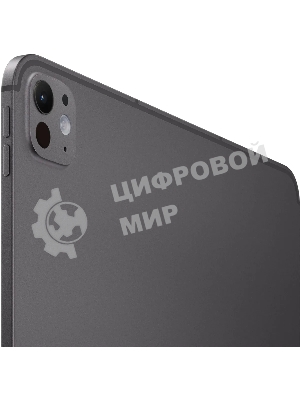 Планшет Apple iPad Pro 2024 A2926 13