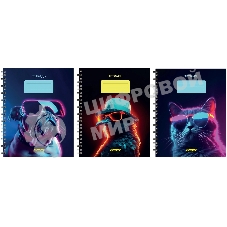 Набор тетрадей Silwerhof 2001674 48 листов, клетка, A5, Неоновые животные в очках 3 дизайна, мелованный картон, гребень (упаковка: 3шт)