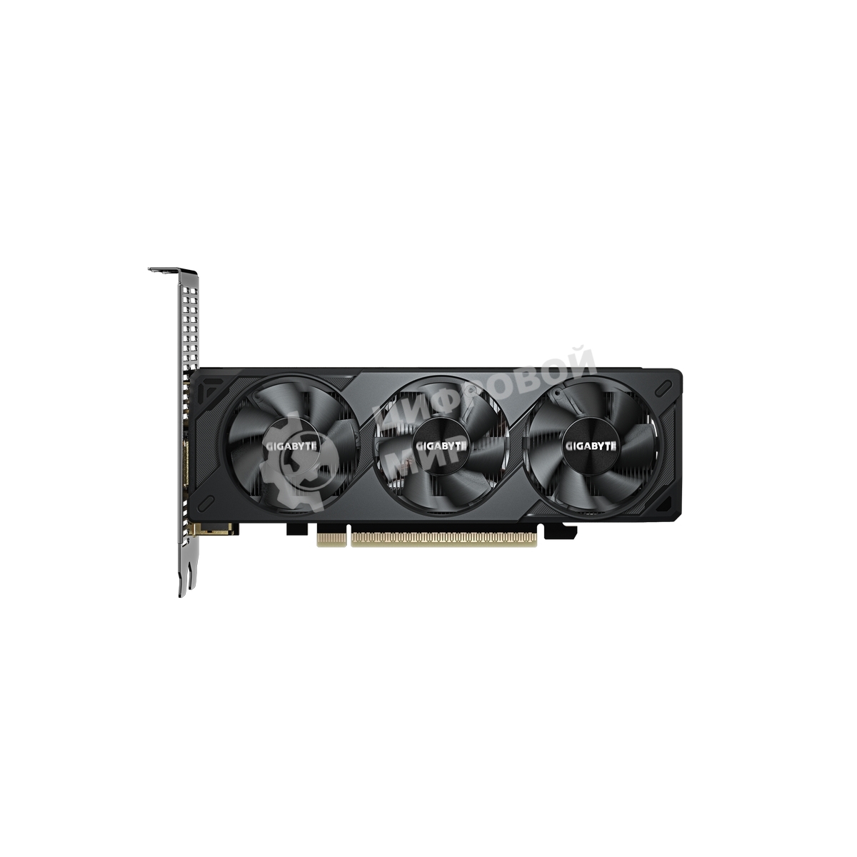 Видеокарта Gigabyte GeForce RTX5050 OC Low Profile, NVIDIA RTX 5050, 8 ГБ GDDR6, 128 бит, PCI-e 5.0, 2xHDMI, 2xDP, 2587 МГц