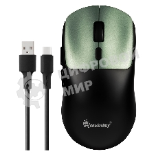 Мышь игровая беспроводная Dual BT+USB с зарядкой Smartbuy X7 черно-зеленая (SBM777DGG) /40.  