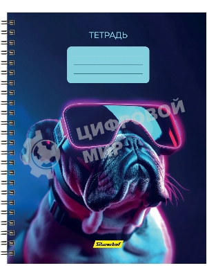 Набор тетрадей Silwerhof 2001674 48 листов, клетка, A5, Неоновые животные в очках 3 дизайна, мелованный картон, гребень (упаковка: 3шт)