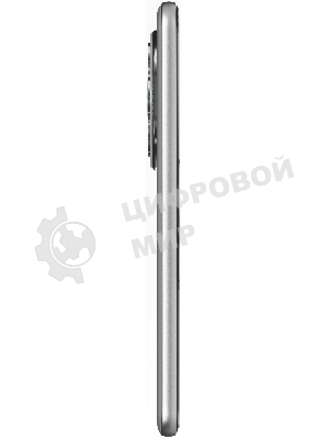 Смартфон HONOR 400 PRO 5109BUTM 12/512Gb, серый