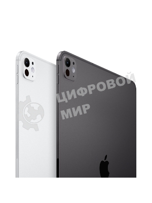 Планшет Apple iPad Pro 2024 A2837 11