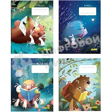 Набор тетрадей Silwerhof 2001668 18 листов, линейка, A5, Лесные друзья 4 дизайна, мелованный картон, водный лак, скрепка (упаковка: 4шт)