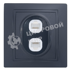 Розетка двойная компьютерная RJ45 скрытой установки IP20, черная 