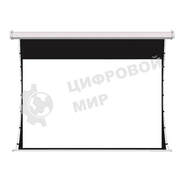 Экран для проектора S'OK SCPSMT-221x125FG-ED30 100 