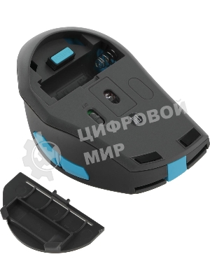 Мышь беспроводная A4Tech Fstyler FG30S серый/синий, 2000 dpi, радиоканал, USB, кнопки - 5