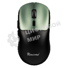 Мышь игровая беспроводная Dual BT+USB с зарядкой Smartbuy X7 черно-зеленая (SBM777DGG) /40.  