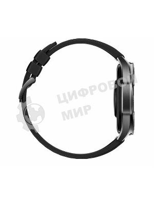 Умные часы Huawei Watch GT 5, 1.43