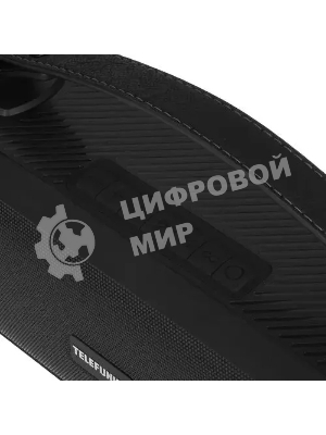 Портативная аудиосистема Telefunken TF-PS1281B (черный)