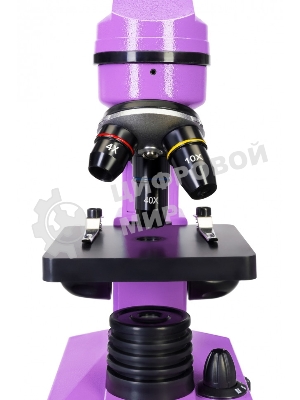Микроскоп Levenhuk RAINBOW 2L AMETHYST/Аметист Микроскоп с предметным столиком, трехгнездным револьвером, фокусировочным механизмом, двумя источниками света с регулировкой яркости Монокулярная насадка Объективы: 4х, 10х, 40х, Увеличение микроскопа: 64-640x