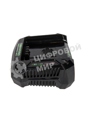 Зарядное устройство Greenworks 291470782В