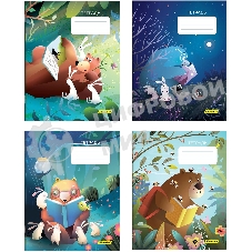 Набор тетрадей Silwerhof 2001667 18 листов, клетка, A5, Лесные друзья 4 дизайна, мелованный картон, водный лак, скрепка (упаковка: 4шт)