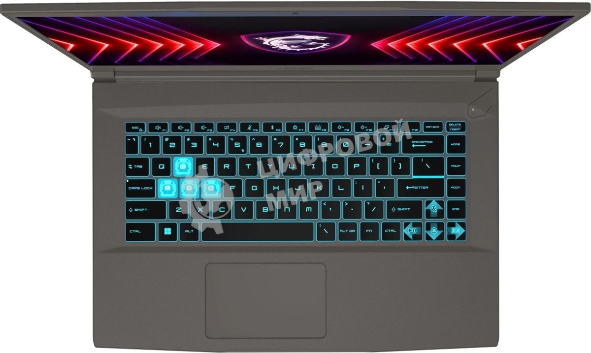 Ноутбук MSI Thin 15 B13VE-2650XRU серый Intel Core i5 13420H 2100MHz/15.6