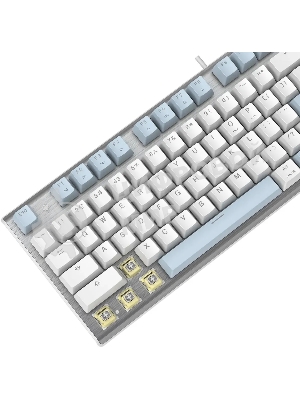 Клавиатура проводная A4Tech Fstyler FS100 Neon, USB, синий/белый