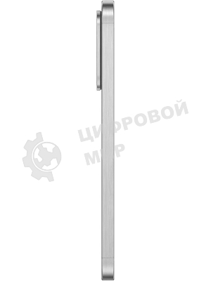 Смартфон Samsung Galaxy A56 5G SM-A566E, 8/128Gb, серый