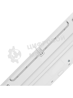 Клавиатура проводная A4Tech Fstyler FS100 Neon, USB, синий/белый