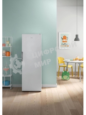 Морозильная камера Indesit DFZ 5175, белый, 250л, 5 ящиков