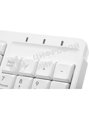 Клавиатура проводная A4Tech Fstyler FK15, USB, белый