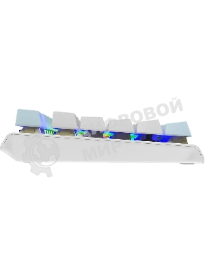 Клавиатура проводная A4Tech Fstyler FS100 Neon, USB, синий/белый