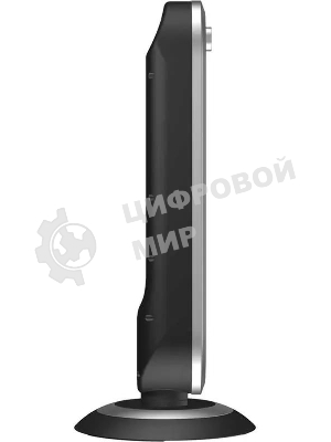 Обогреватель инфракрасный Thermex Espejo ЭдЭБ04307 900Вт серебристый/черный