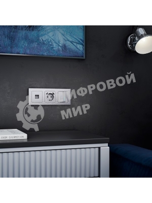 Выключатель двухклавишный проходной с подсветкой WERKEL (серебряный) W1122106