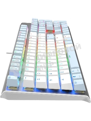 Клавиатура проводная A4Tech Fstyler FS100 Neon, USB, синий/белый