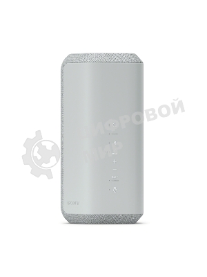 Беспроводная колонка Sony SRS-XE300, серый
