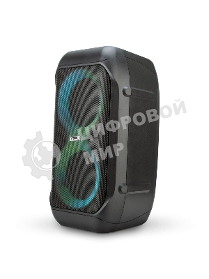 Колонка Eltronic 06