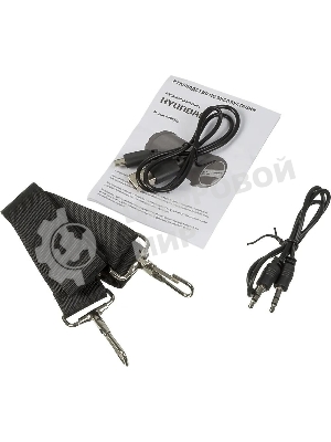 Колонка портативная Hyundai H-PAC220 черный/голубой 10W 1.0 BT/3.5Jack/USB