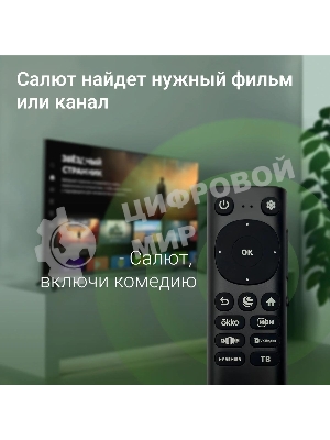 Телевизор Digma 55