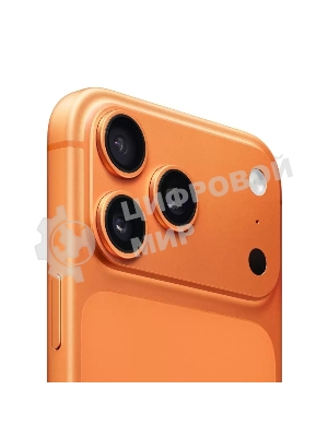 Смартфон Apple iPhone 17 Pro Max 12/256Gb оранжевый