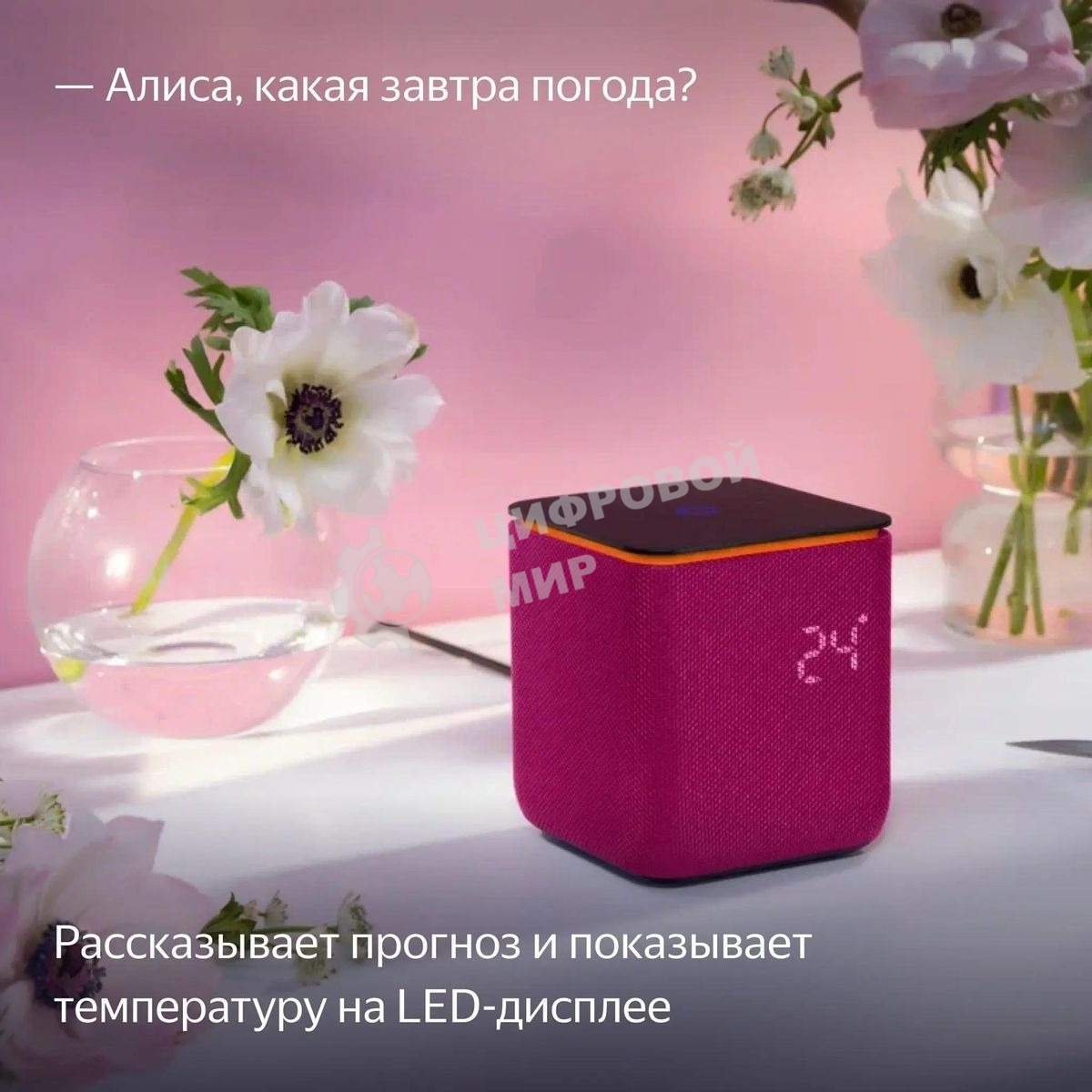 Умная колонка Яндекс Станция Миди, ZigBee, 24Вт, с голосовым ассистентом Алиса на YaGPT, малиновый