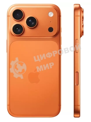 Смартфон Apple iPhone 17 Pro Max 12/256Gb оранжевый