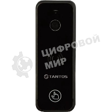 Видеопанель Tantos iPanel 2+, цветная, накладная, черный