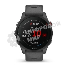 Смарт-часы Garmin Forerunner 255 темно-серый 45,6мм